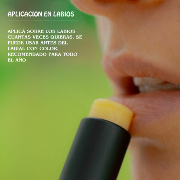 Nuevo Bálsamo Labial Naranja Bergamota Almendras Rosa Mosqueta Kraft - Imagen 6
