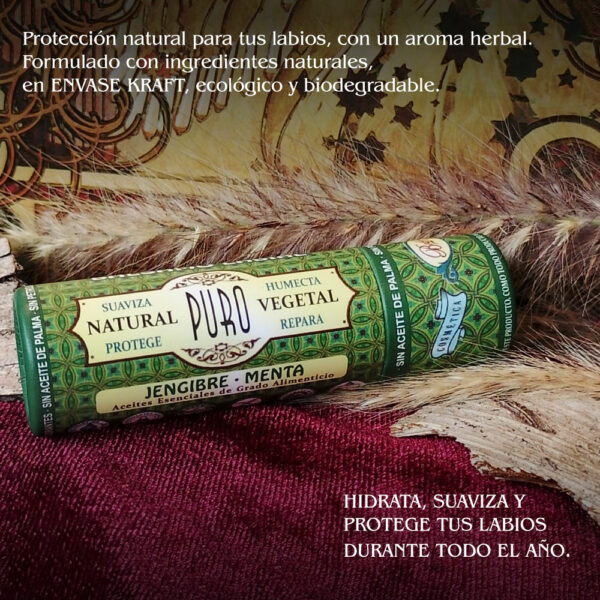 Nuevo Bálsamo Labial Jengibre Menta Caléndula Kraft - Imagen 3