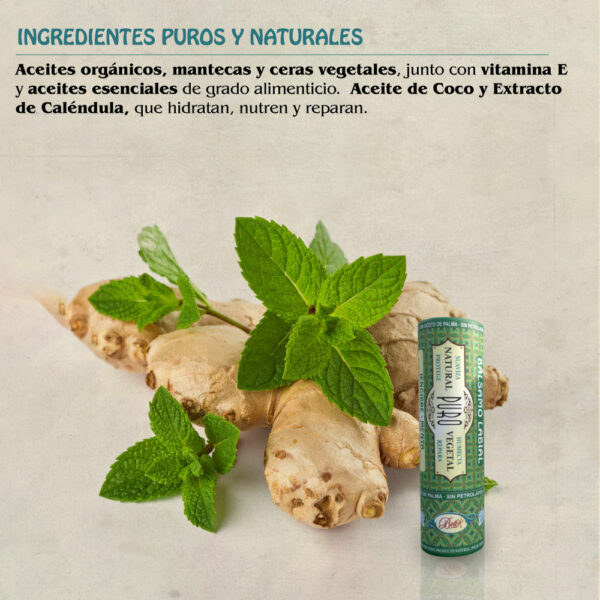 Nuevo Bálsamo Labial Jengibre Menta Caléndula Kraft - Imagen 5