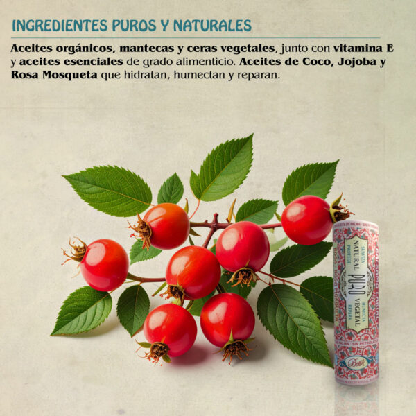 Nuevo Bálsamo Labial Rosa Mosqueta Kraft - Imagen 5