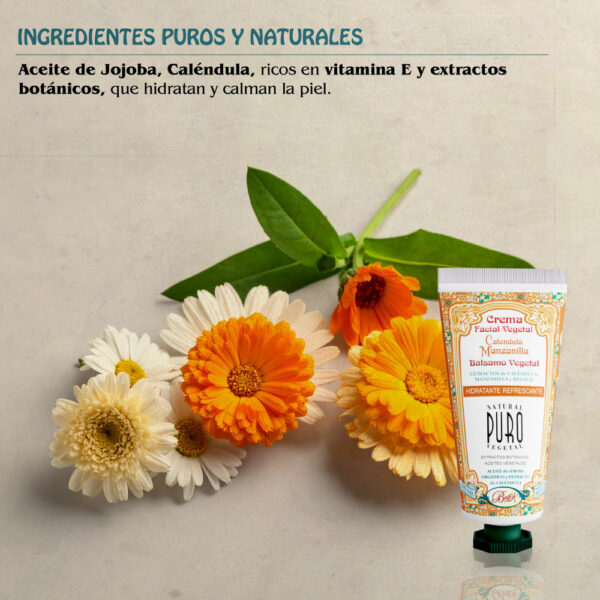 Crema Facial Caléndula Manzanilla - Imagen 5