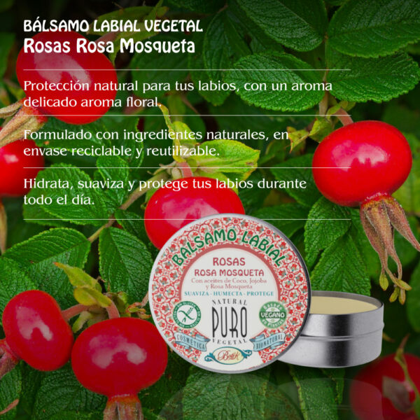 Nuevo Bálsamo Labial Lata Rosas - Rosa Mosqueta - Imagen 2