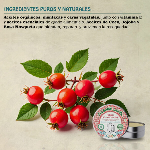 Nuevo Bálsamo Labial Lata Rosas - Rosa Mosqueta - Imagen 3